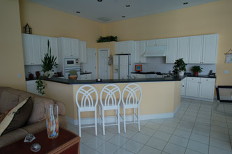 Tampa Kitchen Remodeling